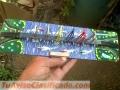 Puentes sobre el lago